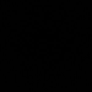 Meet your Posher, Maddi